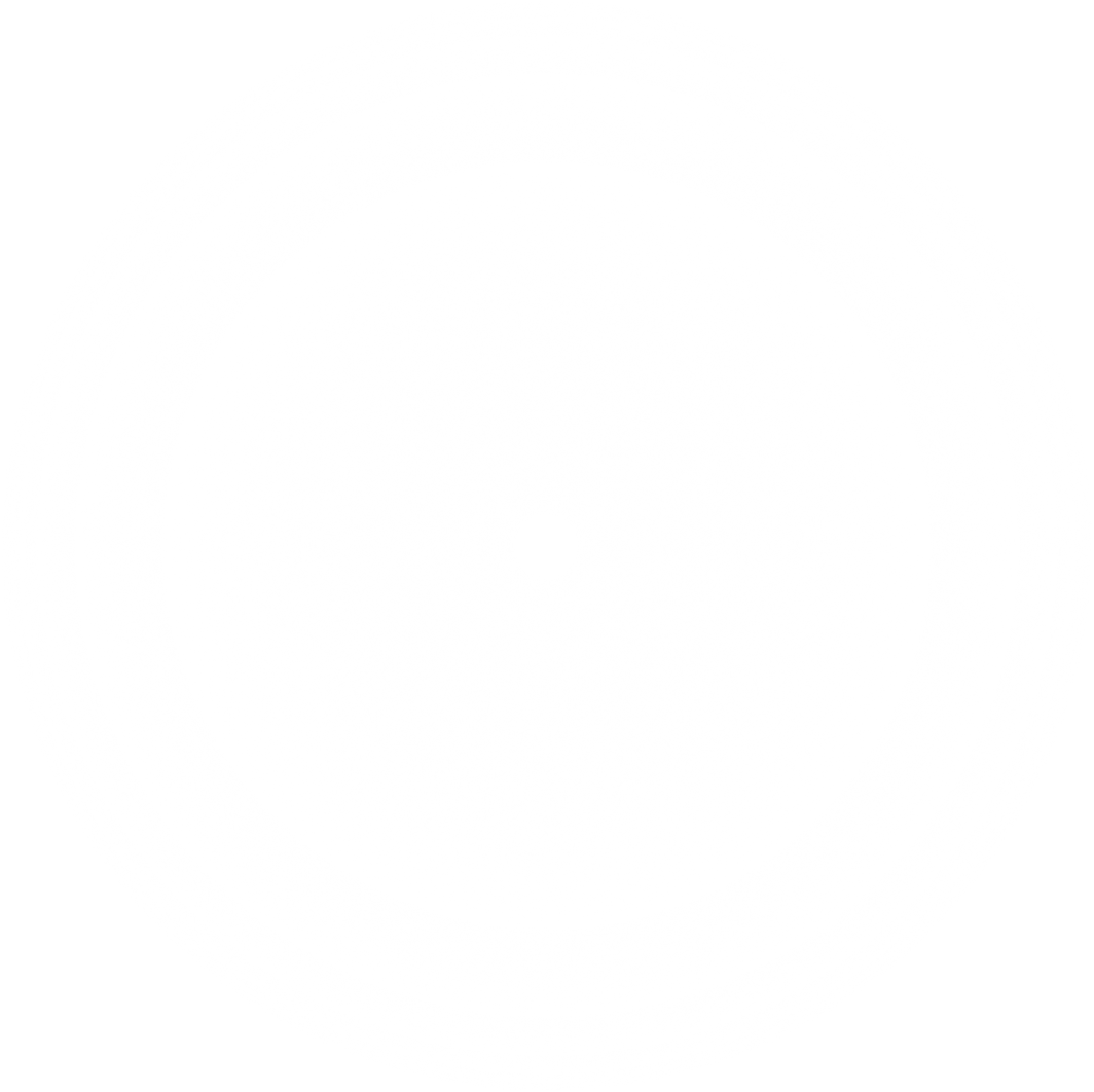 White Transparent Gradient